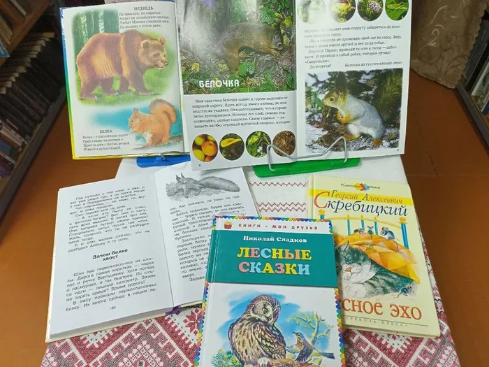 Дети познакомились с книгами