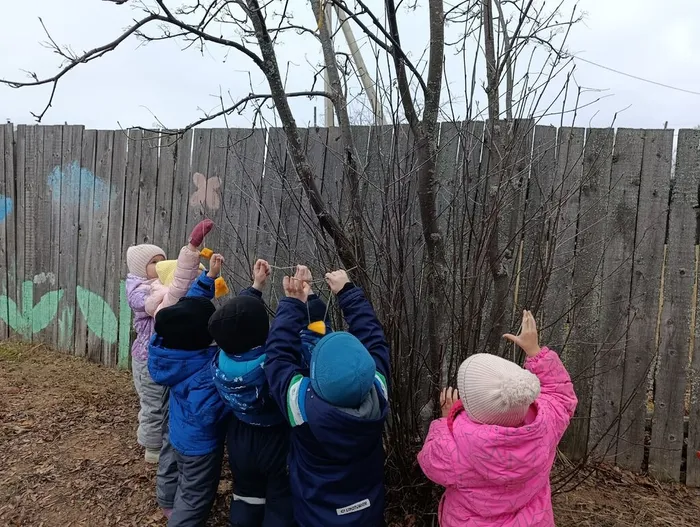 Готовые кормушки были развешены на деревьях вблизи библиотеки, создавая дополнительную кормовую базу для зимующих птиц.