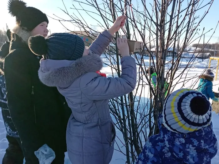 Практическим итогом встречи стало развешивание на территории библиотеки заранее подготовленных вместе с детьми кормушек