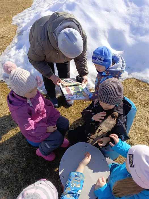 Дети знакомились с книгами